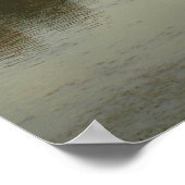 Poster Le long de l'Arno (Coin)