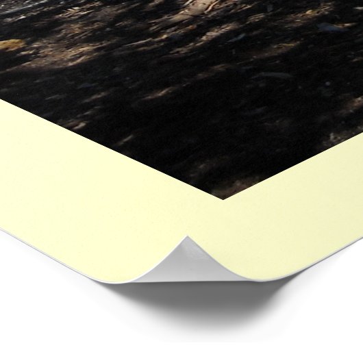 Poster Le long de l'océan (Coin)