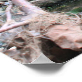 Poster Le long des rivières et des rochers (Coin)