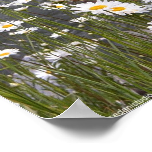 Poster Le long du ruisseau (Coin)