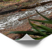 Poster Le long sommeil (Coin)