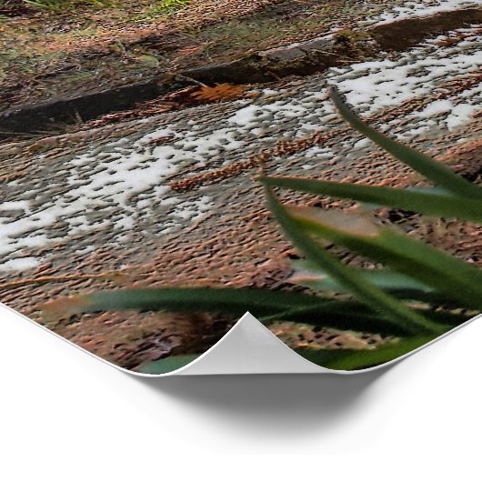 Poster Le long sommeil (Coin)