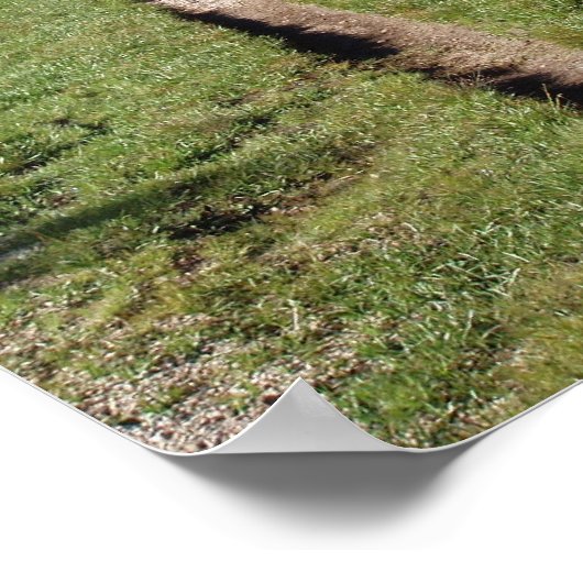 Poster Le Long Trail (Coin)