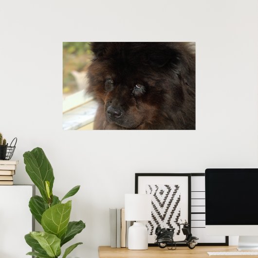 Poster Le look (Bureau à domicile)