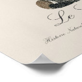 Poster Le Lori ecaille / Lory à rayures bleues (Coin)