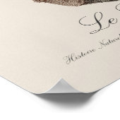 Poster Le Lori noir / Lory noir (Coin)