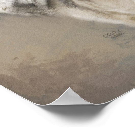 Poster Le loup (Coin)