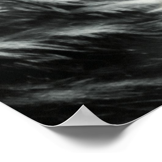 Poster Le loup blanc (Coin)