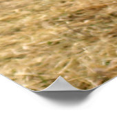 Poster Le loup de dessin abattu (Coin)