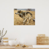 Poster Le loup de dessin abattu (Cuisine)