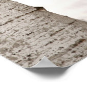 Poster Le loup d'hiver (Coin)