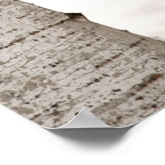 Poster Le loup d'hiver (Coin)