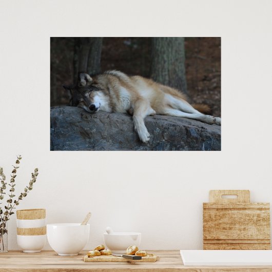 Poster Le loup endormi (Cuisine)