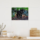 Poster "Le Loup Noir" (Cuisine)