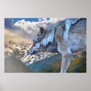 POSTER LE LOUP SEUL SURPLORE LA LIBERTÉ