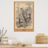 Poster Le Lyre Bird (Cuisine)