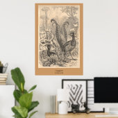 Poster Le Lyre Bird (Bureau à domicile)