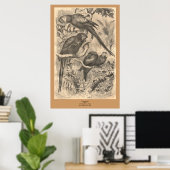 Poster Le Macaw (Bureau à domicile)