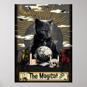 Poster Le MagiCat