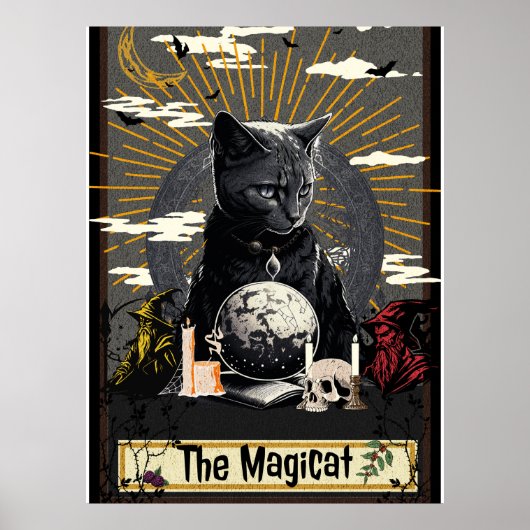 Poster Le MagiCat (Devant)