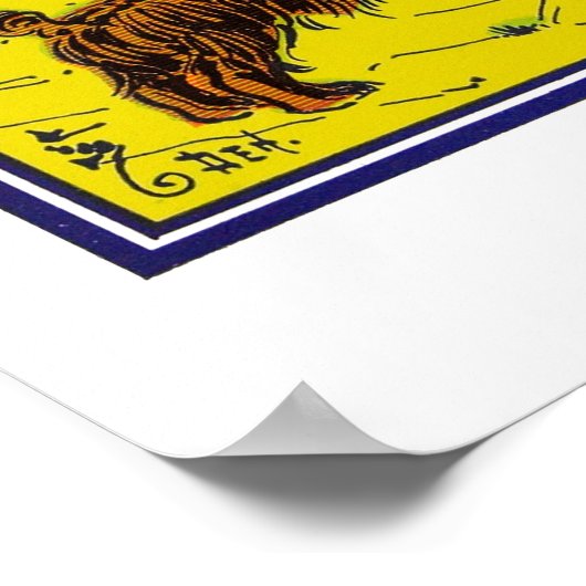 Poster Le Magicien d'Oz : Vous devriez avoir honte ! (Coin)