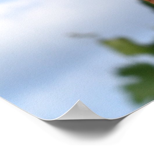 Poster Le maïs sur l'affiche du Cob (Coin)