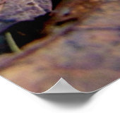 Poster Le maïs vert dans les bois (Coin)