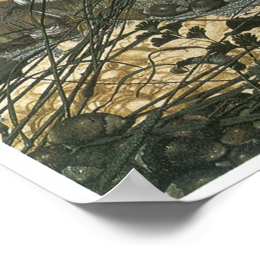 Poster Le Maître Stroke de Fairy, 1855-64 (Coin)