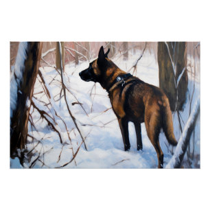 Poster Le Malinois Belge Laisser Neige Noël