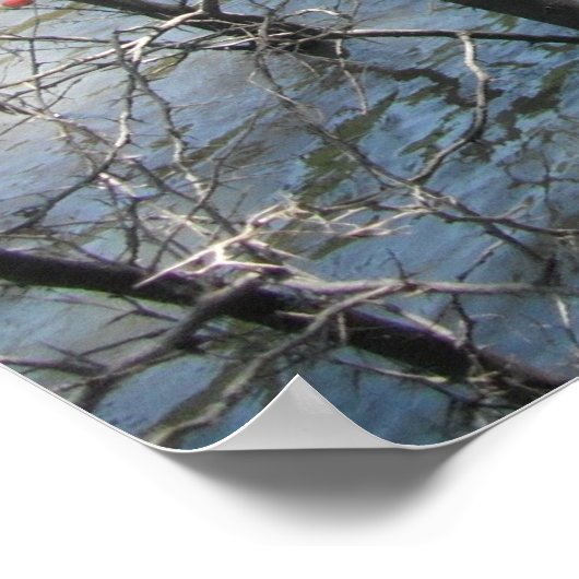 Poster Le marais (Coin)