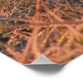 Poster Le matin des Tatras (Coin)