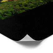 Poster Le Mauna Kea Resort (Coin)