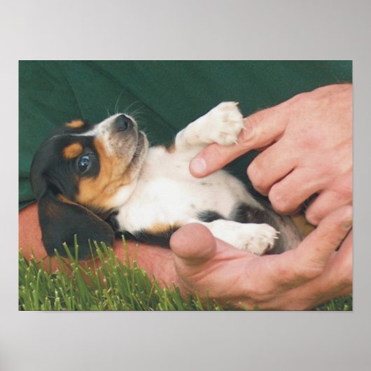 Poster Le meilleur ami de l'homme (Devant)