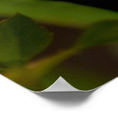 Poster Le meilleur résultat de l'éducation (Coin)