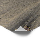 Poster Le meilleur surfeur... (Coin)