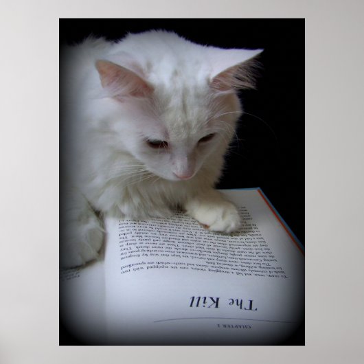 Poster Le meurtre (Devant)