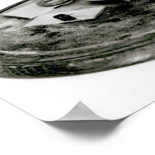 Poster Le microscope de Darwin (Coin)