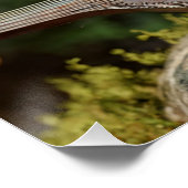 Poster Le Minstrel Silencieux de la Forêt (Coin)