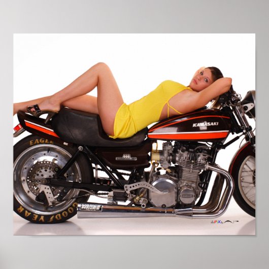 Poster Le modèle Z1 et le modèle Cassie (Devant)