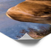 Poster Le monarque du verre (Coin)