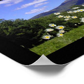 Poster Le mont Chocorua (Coin)