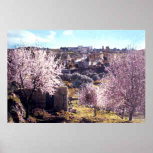 Poster Le mont des Oliviers vintage Jérusalem Israël 19