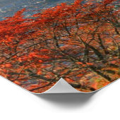 Poster Le mont Fuji vu de derrière la pagode de Chureito (Coin)