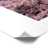 Poster Le Mont Fuki avec Sakura (Coin)