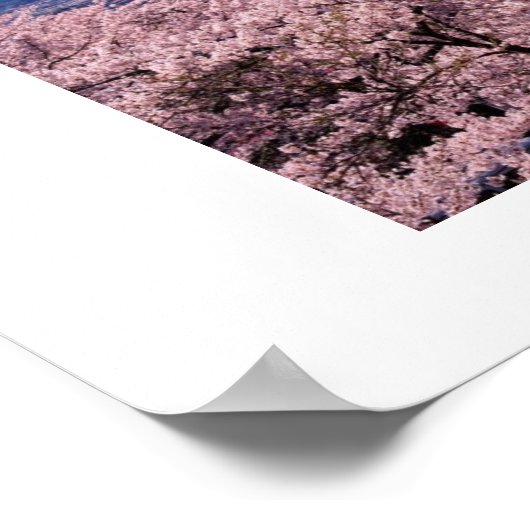 Poster Le Mont Fuki avec Sakura (Coin)