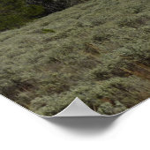 Poster Le mont Moran et les nuages à Grand Teton (Coin)