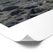 Poster Le Mont Rainier Panorama (Coin)