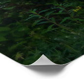 Poster Le Mont Rainier reflété Sunrise II (Coin)