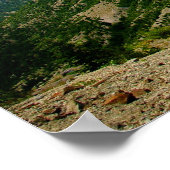 Poster Le Mont St. Helens (Coin)