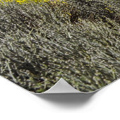 Poster Le mont Teide sur l'île des Canaries (Coin)